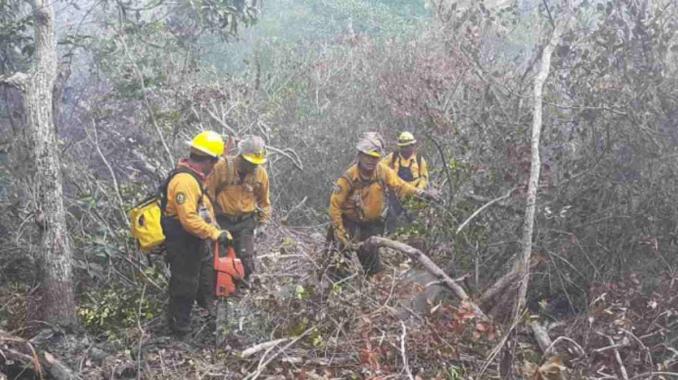 Conafor reporta 55 incendios forestales en el país. Noticias en tiempo real