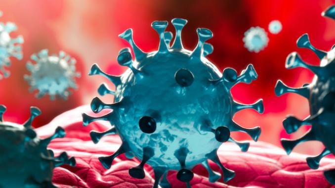 El presente y futuro de la epidemia por coronavirus: UNAM. Noticias en tiempo real