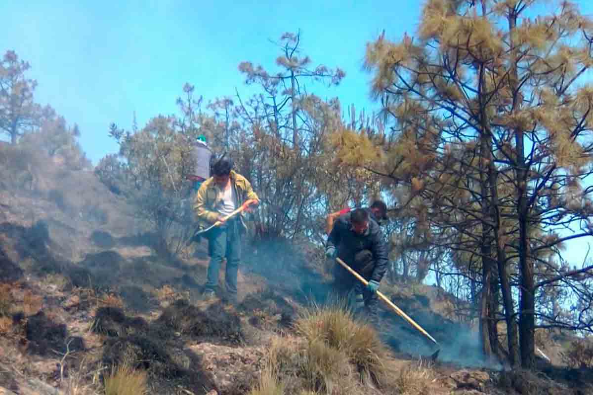 Controlado al 70 por ciento incendio en el cerro de El Cacique. Noticias en tiempo real