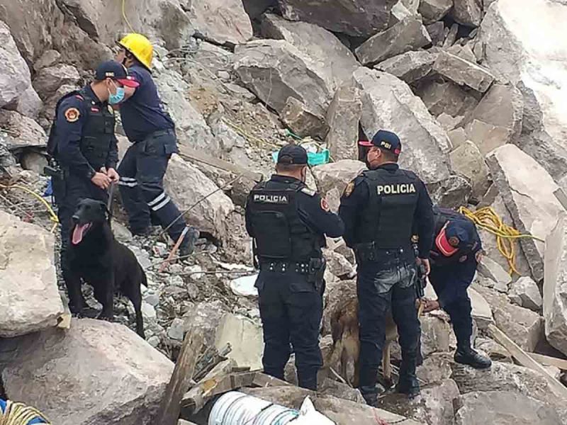 Con perros Policía buscan sobrevivientes en deslave de Cerro del Chiquihuite