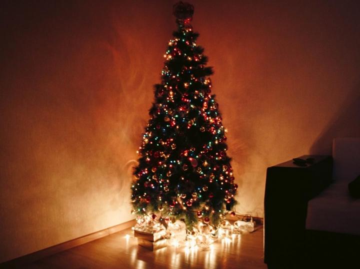 ¿Cómo llegó la tradición del árbol de Navidad a México?