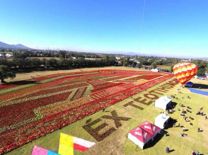 Teotihuacán logra Récord Guinness por tapete floral más grande del mundo 