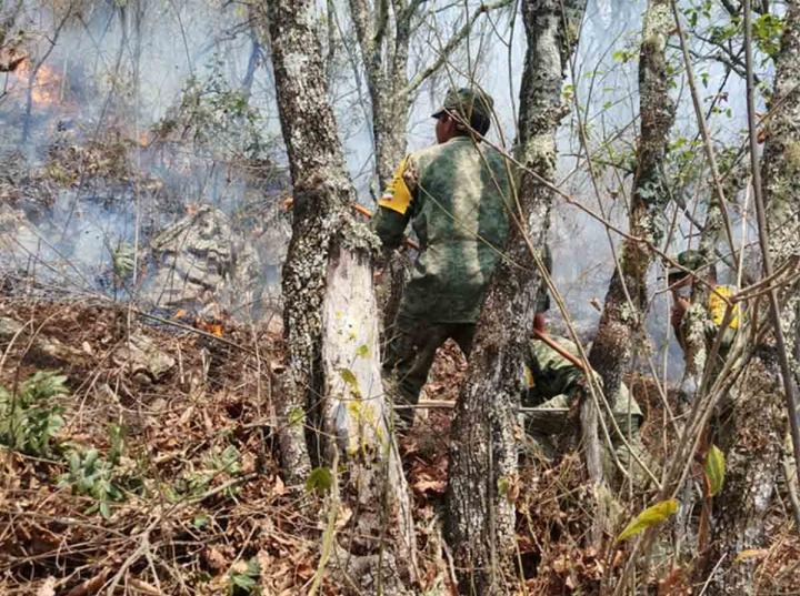 El Ejército mexicano activó el Plan-DN-III-E para sofocar un incendio forestal en el municipio de Pinal de Amoles en el estado de Querétaro