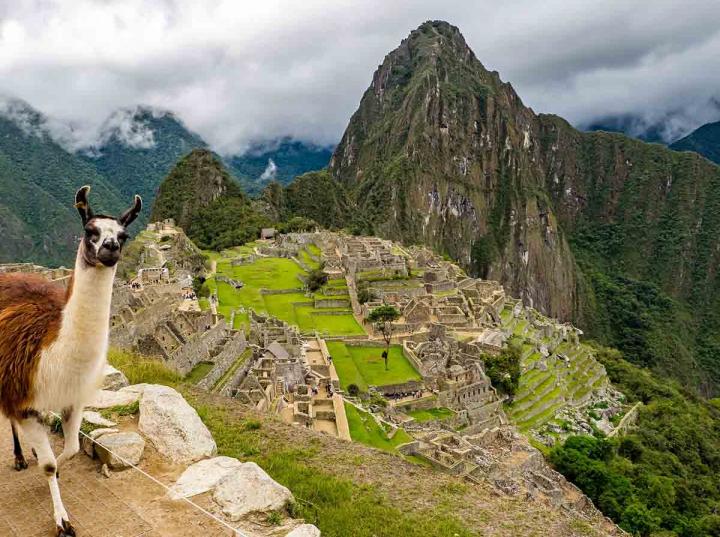 Por coronavirus restringen acceso turístico a Machu Picchu. Foto: Pixabay 