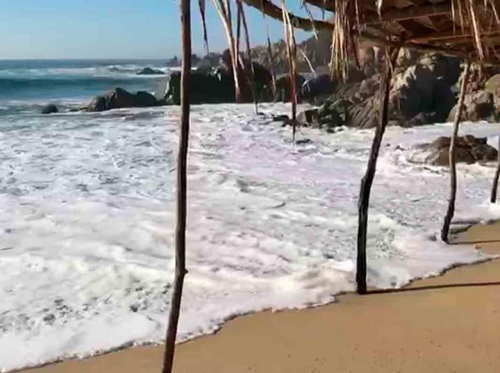 High swell affects Oaxaca beaches;  rescue national and foreign tourists