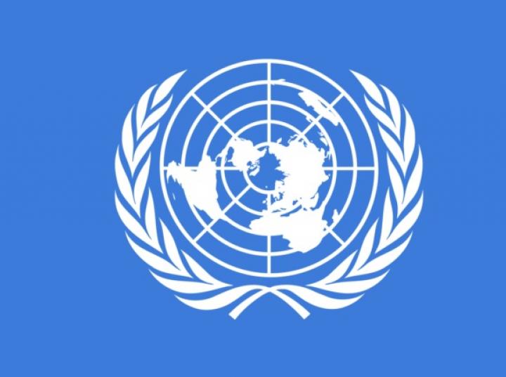 Datos curiosos que quizá desconocías sobre ONU