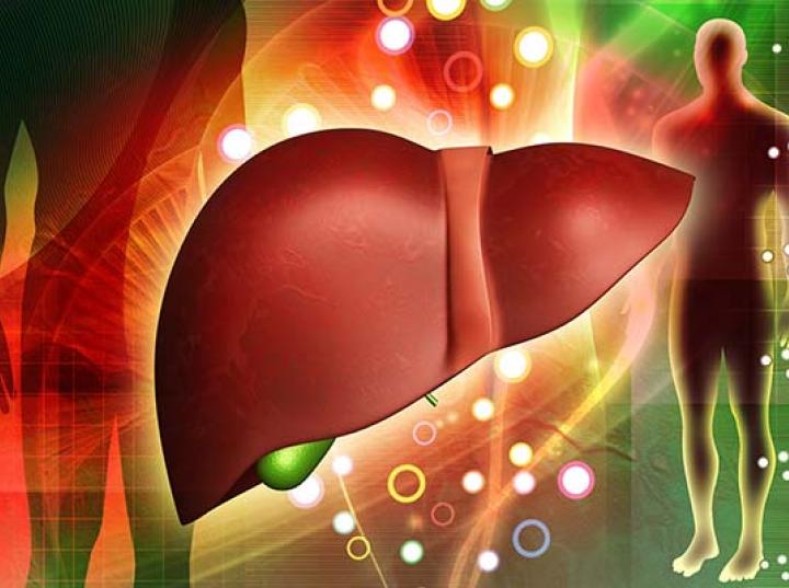 Hábitos que te ayudarán a tener un hígado sano 