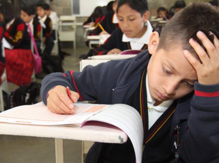 México enfrentará grandes retos educativos en 2017: Marcos Fernández
