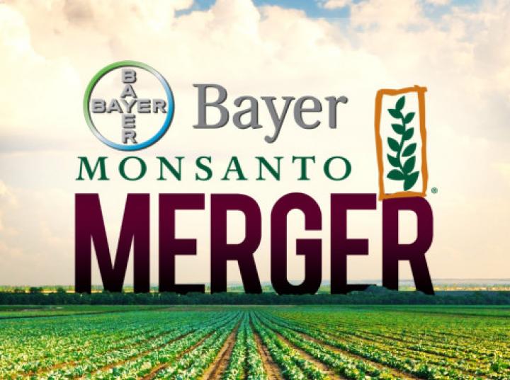 Monsanto se fusiona con Bayer: planean invertir 16 mdd en cuatro años