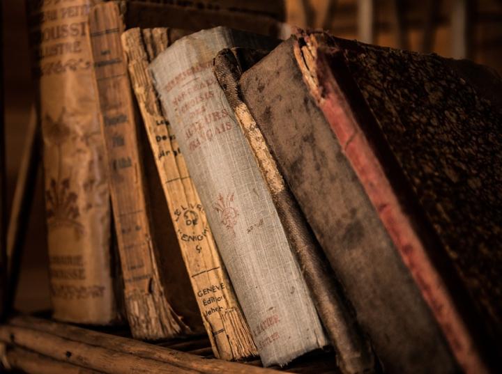 Libros encarnan la diversidad del ingenio humano: UNESCO. FOTO: Pixabay License