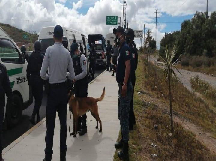 Proponen facultar a policías vs maltrato animal en Hidalgo. Foto: Especial