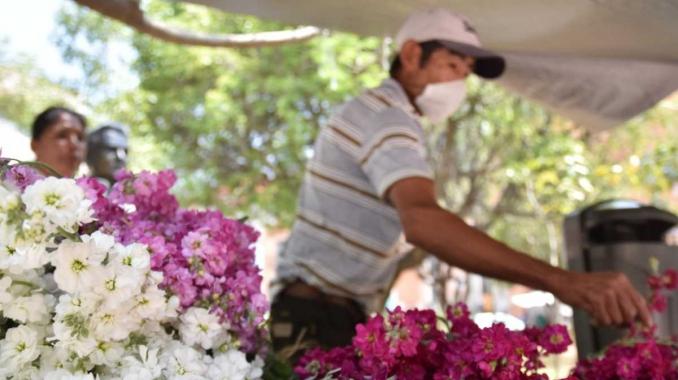 Edil de Guanajuato llama a Fiesta de las Flores en plena crisis. Noticias en tiempo real