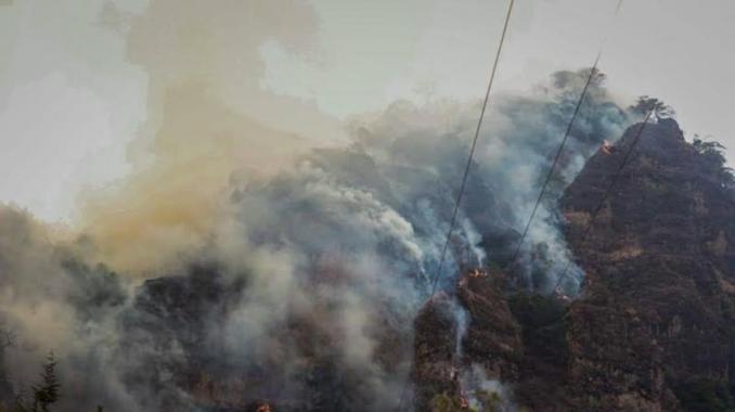 Reportan 80 incendios forestales activos en el país. Noticias en tiempo real