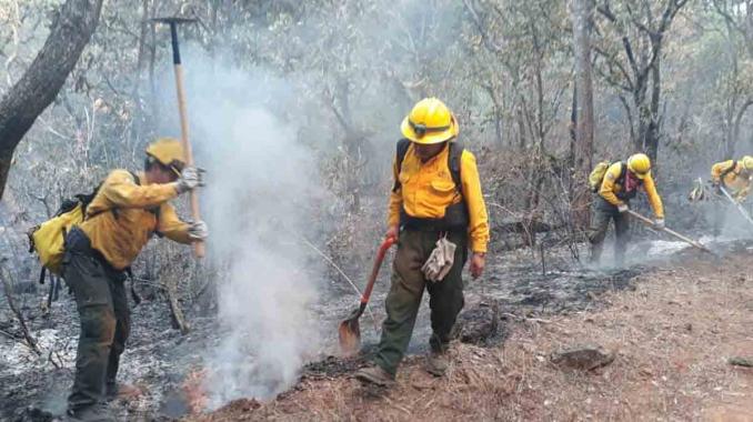 Aún activos, incendios forestales en Tepoztlán y Reserva de la Biosfera Mariposa Monarca. Noticias en tiempo real