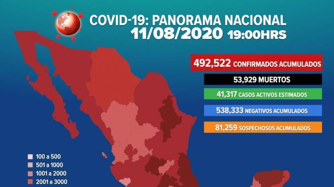 Ssa confima 492,522 casos positivos de COVID-19 en México. Noticias en tiempo real