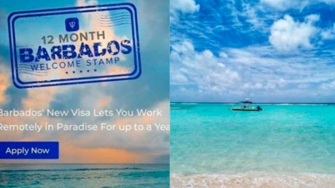 ¿Te gustaría hacer home office en la playa? Barbados ofrece visas de trabajo. Noticias en tiempo real