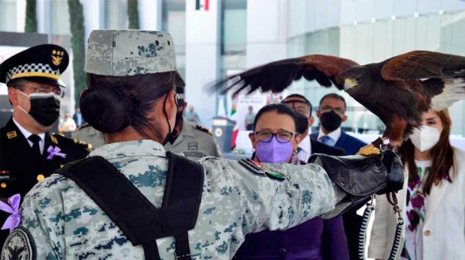Mujeres de la Guardia Nacional responden con valentía a exigencias de seguridad. Noticias en tiempo real