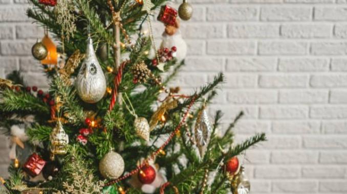 Te decimos dónde comprar tu árbol de Navidad a buen precio