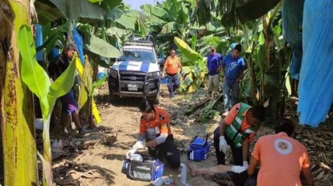 Ataca cocodrilo a dos turistas en Puerto Vallarta