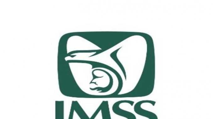 Facilita IMSS constancia de vigencia de derechos en línea . Noticias en tiempo real