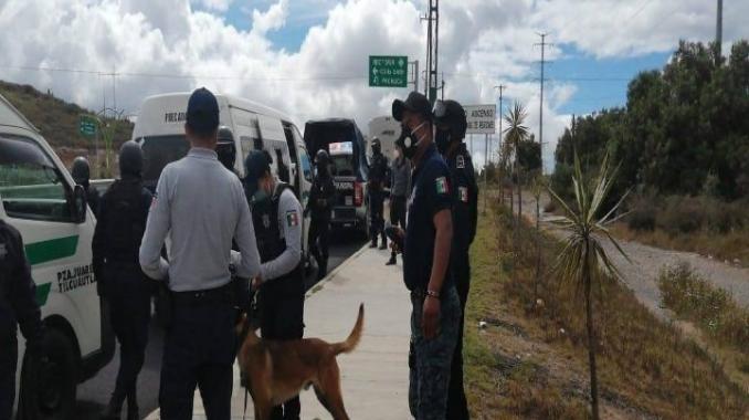 Proponen facultar a policías vs maltrato animal en Hidalgo. Noticias en tiempo real